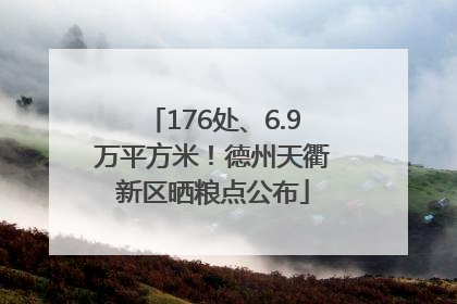 176处、6.9万平方米！德州天衢新区晒粮点公布